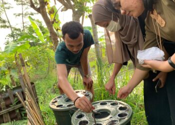 Penanaman sayur kangkung menggunakan media akuaponik yang dilakukan kelompok KKN Unand Banten bersama pemuda desa. (Genta Andalas/dok. Pribadi)