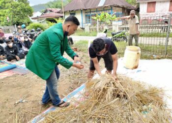 Proses pembuatan pakan ternak dari fermentasi jerami padi. (Genta Andalas/dok. Pribadi)