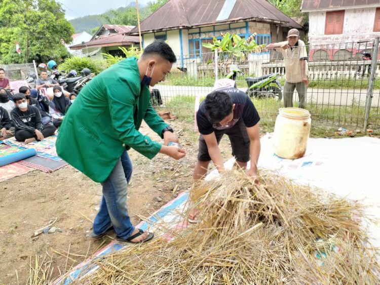 Proses pembuatan pakan ternak dari fermentasi jerami padi. (Genta Andalas/dok. Pribadi)