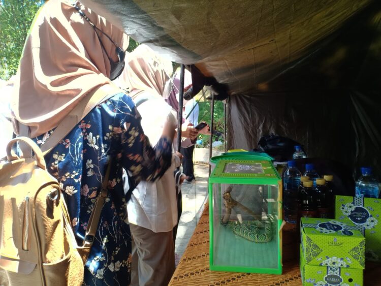 Para mahasiswa bergantian mengambil foto sembari berinteraksi dengan ular Piton Reticulada, Senin (28/3/2022). (Genta Andalas/Putri Salsabilla Eryadi)
