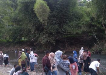 Pengunjung ramai melihat dan memberi makan ikan larangan di kawasan konservasi wisata alam Ikan Banyak pada Kamis (5/5/2022).