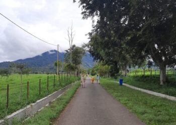 Jalan yang Membelah Padang Mangateh dengan Latar Gunung Sago. (Genta Andalas/Dok. Pribadi)