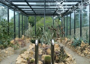 Taman Meksiko yang menyuguhkan berbagai macam jenis kaktus di Kebun Raya Bogor. (Genta Andalas/ Dok. Pribadi)