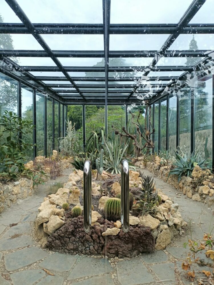 Taman Meksiko yang menyuguhkan berbagai macam jenis kaktus di Kebun Raya Bogor. (Genta Andalas/ Dok. Pribadi)
