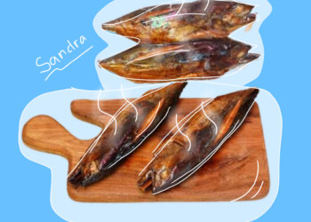 (Ilustrator/Sandra Ardiyana)