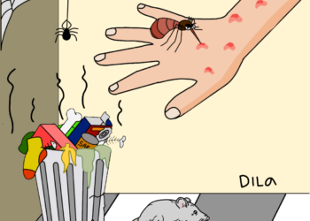 (Ilustrator/Fadhilah Lisma Sari)