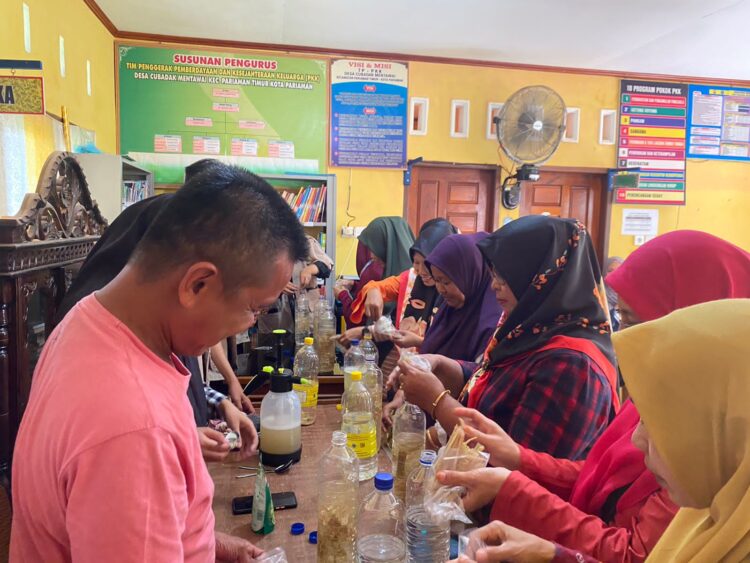Demonstrasi pembuatan pestisida nabati dari serai dapur kepada masyarakat di Desa Cubadak Mentawai, Kota Pariaman Timur pada Jumat (4/8/2023)