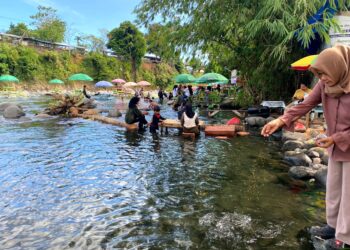 Salah seorang pengunjung sedang memberi makan ikan di pinggir pemandian Lubuk Minturun, Minggu (20/8/2023). (Genta Andalas/Fadhilah Lisma Sari)