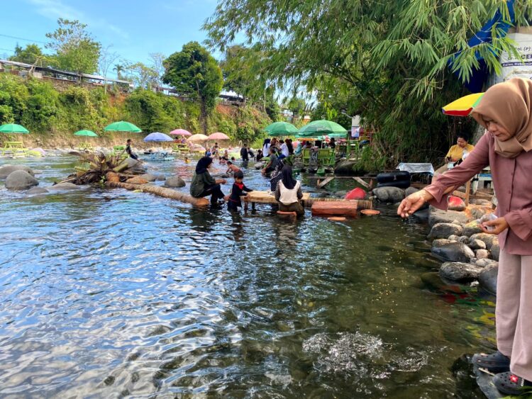 Salah seorang pengunjung sedang memberi makan ikan di pinggir pemandian Lubuk Minturun, Minggu (20/8/2023). (Genta Andalas/Fadhilah Lisma Sari)